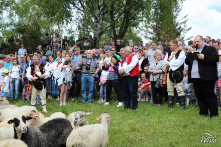 Modlitwa przy obrzędzie mieszania owiec